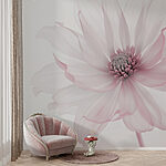 Wall mural Delicate petals in soft hues