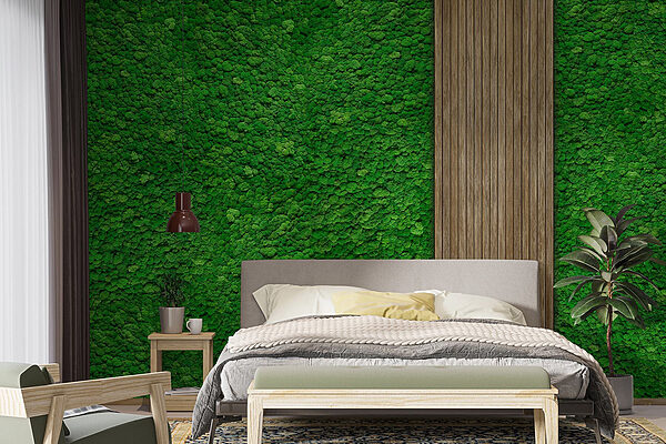 Wood plank on a green wall Wall murals Wood plank on a green wall