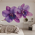 Wall murals Purple flowers with water drops on them