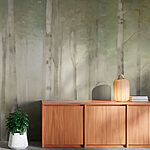Wall murals Group of trees in a forest