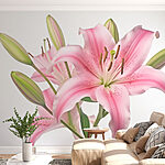 Wall murals Pink lily with buds