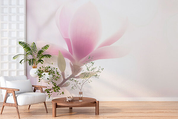 Wall murals Delicate bloom in soft light (SKU: w03489) Wall murals Wall murals Delicate bloom in soft light (SKU: w03489)