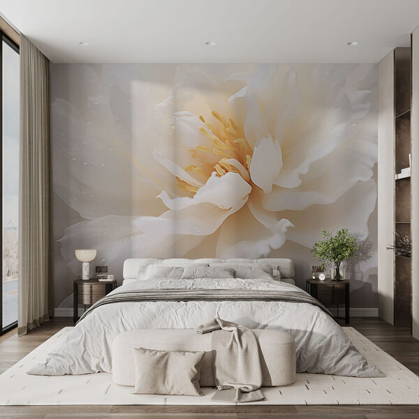 Delicate petals with gentle dew drops Wall murals Delicate petals with gentle dew drops