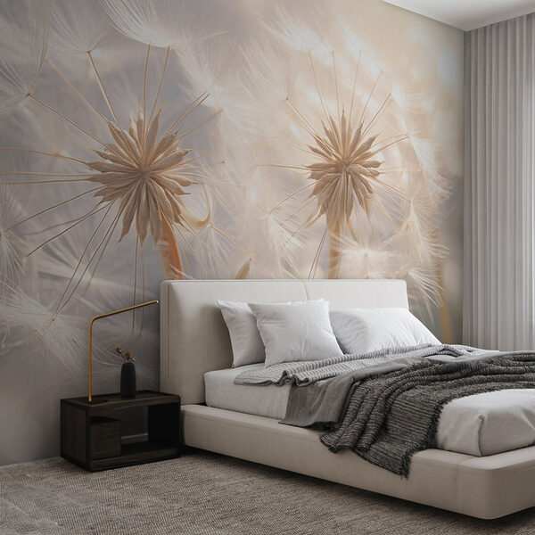 Delicate dandelion seeds in sunlight Wall murals Delicate dandelion seeds in sunlight
