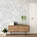 Wall mural Black line on a white background