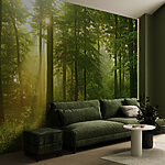 Wall mural Sunlight streams through lush forest