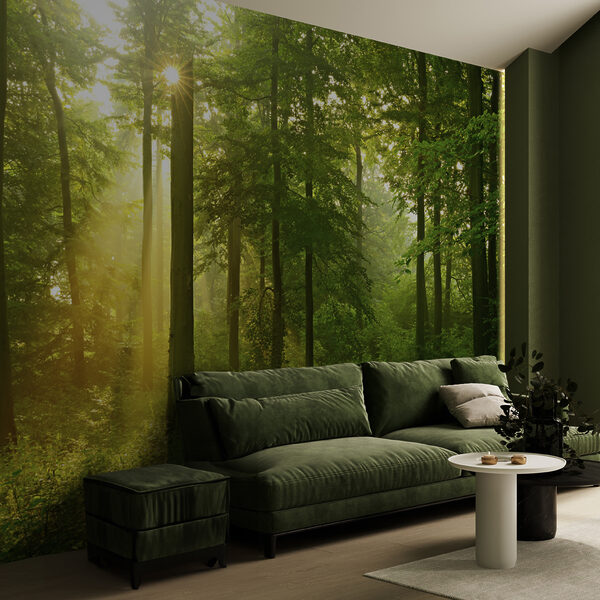 Sunlight streams through lush forest Wall mural Sunlight streams through lush forest