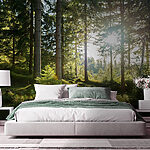 Wall mural Sunlight streaming through the forest