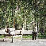 Wall mural Group of trees with green leaves
