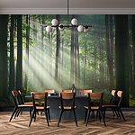 Wall mural Sunbeams streaming through the forest