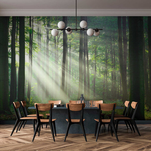 Sunbeams streaming through the forest Wall mural Sunbeams streaming through the forest
