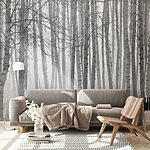 Wall mural Group of trees in a foggy forest
