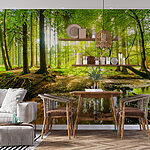 Wall mural Forest with trees and sun shining through the trees