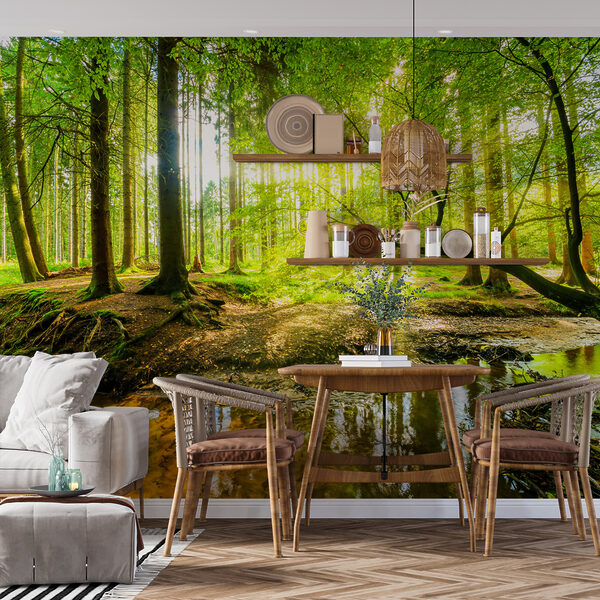 Wall mural Forest with trees and sun shining through the trees