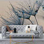 Wall mural Dewdrops on dandelion seeds