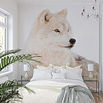 Wall mural White wolf in the snow