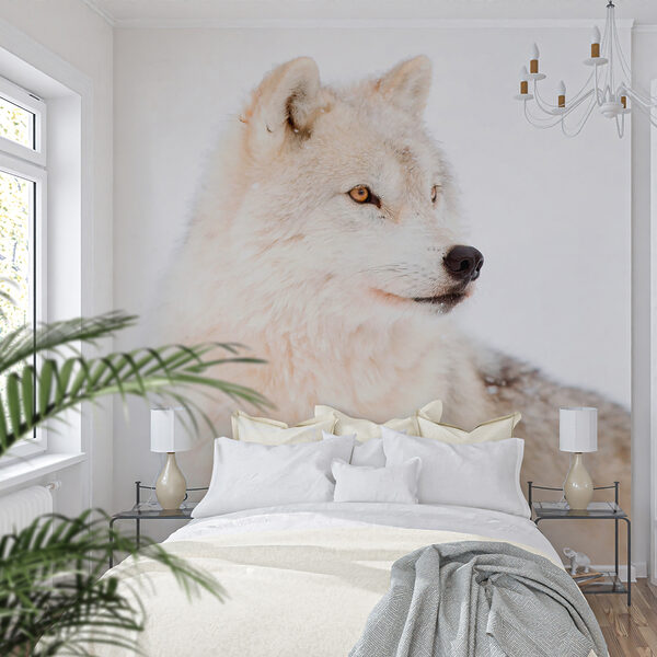 Wall mural White wolf in the snow