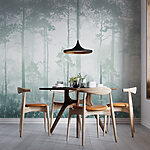 Wall mural Foggy forest with tall trees