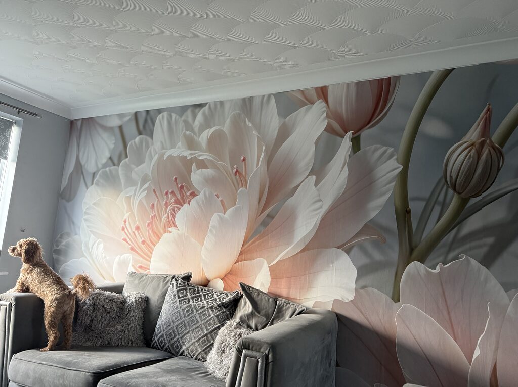 Image #1 from Jackie Marshall